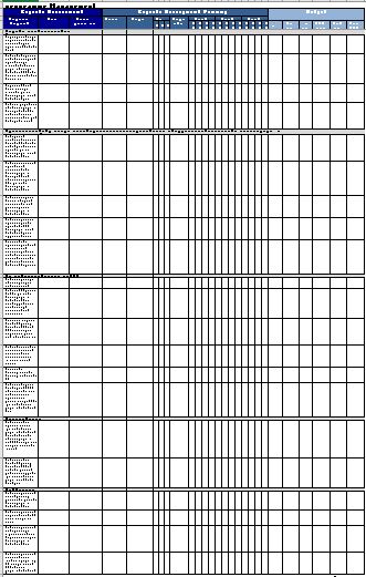 Capacity Assessment and Planning tool – National PRs of Global Fund Grants