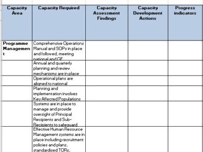 Rapid Capacity Assessment and Planning tool – National PRs of Global Fund Grants