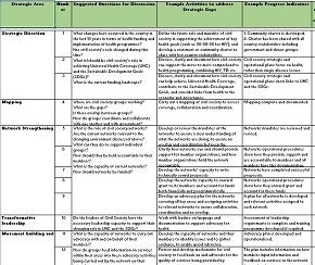 Strategic Direction Assessment Template for Civil Society Groups