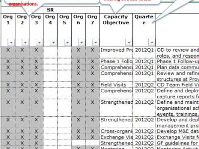 Budget Template Cross-organisational Capacity Development Template Plan