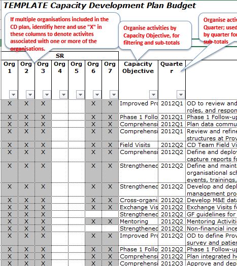 Budget Template Cross-organisational Capacity Development Template Plan