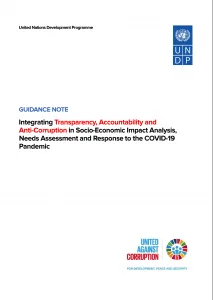 Guidance Note: Integrating Transparency, Accountability and Anti-Corruption in Socio-Economic Impact Analysis, Needs Assessment and Response to the COVID-19 Pandemic